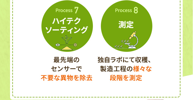 process7:ハイテクソーティングprocess8:測定